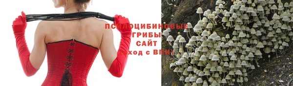 мяу мяу кристалл Мурманск