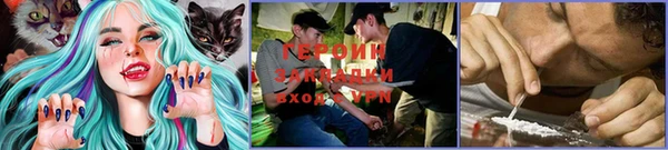 ПСИЛОЦИБИНОВЫЕ ГРИБЫ Кострома