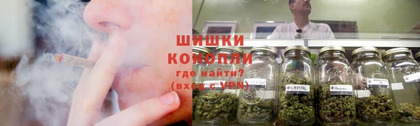 ПСИЛОЦИБИНОВЫЕ ГРИБЫ Кострома