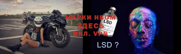 прущие грибы Нижневартовск