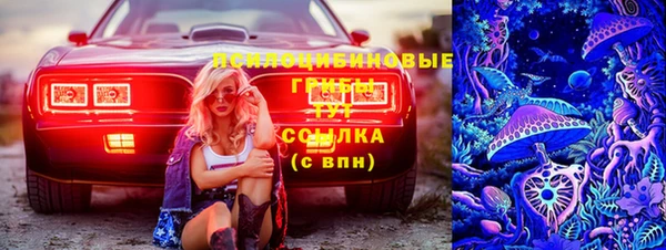 прущие грибы Нижневартовск