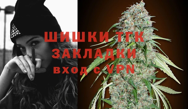 ПСИЛОЦИБИНОВЫЕ ГРИБЫ Кострома