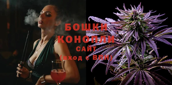 прущие грибы Нижневартовск