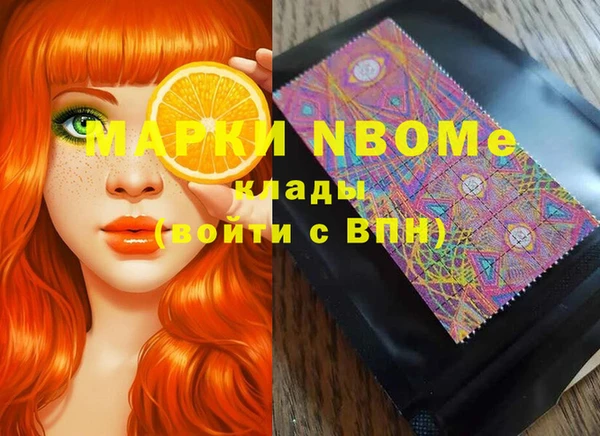 бошки Бронницы