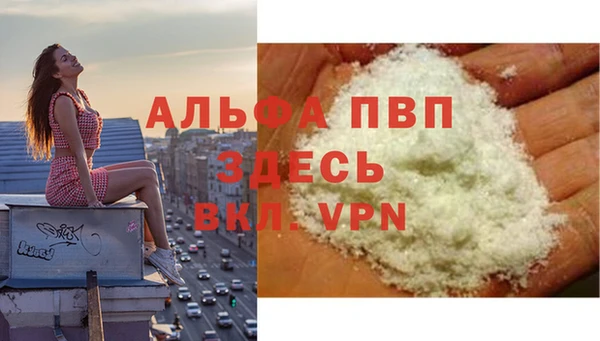 ПСИЛОЦИБИНОВЫЕ ГРИБЫ Кострома
