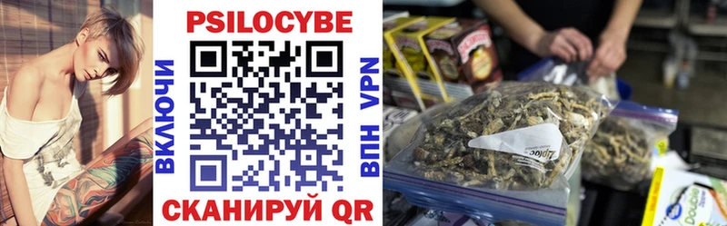 купить наркотики цена  Армянск  Псилоцибиновые грибы Psilocybe 