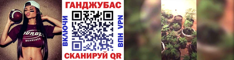 Шишки марихуана план  нарко площадка наркотические препараты  Армянск 